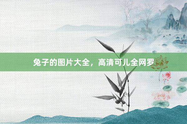 兔子的图片大全，高清可儿全网罗